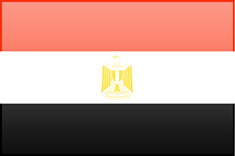 Population Clock Egypt